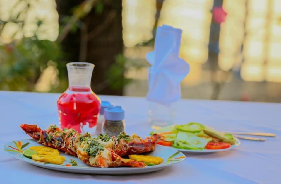 Cap Lamandou Hotel Jacmel Dış mekan fotoğraf